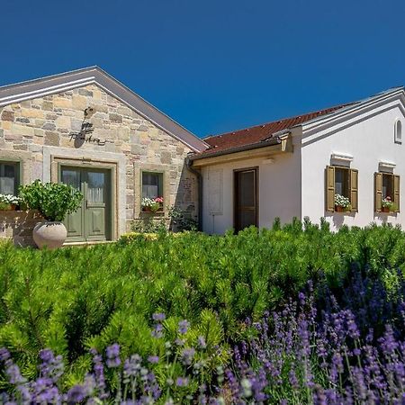 Lajoskomárom Paskom Cottage מראה חיצוני תמונה